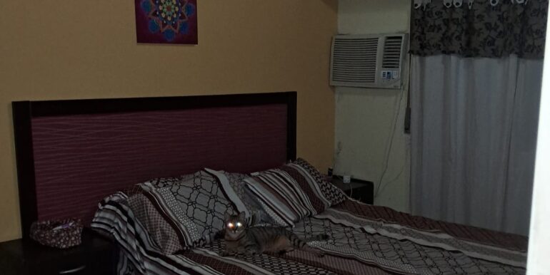 WhatsApp Image 2026-02-04 at 12.33.34 (3)