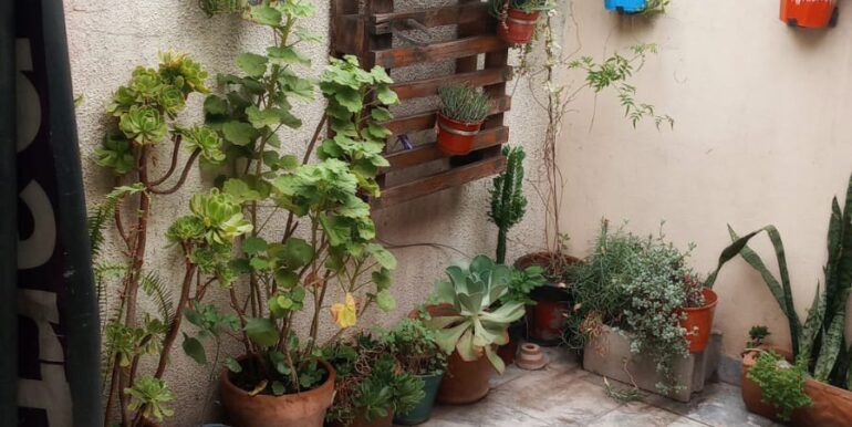 WhatsApp Image 2026-02-04 at 12.33.36 (2)